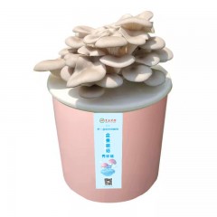 预售 盆景萌菇 蘑菇 好看 好玩 更好吃  包邮 2800ml 产地直供 安全健康好管理