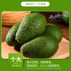 【预售】云南牛油果新鲜采摘，现采现发2.5KG装  每颗重300g-390g
