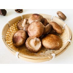 香菇 500g 真菌皇后 洁净培育 新鲜蔬菜 山珍菌菇蘑菇