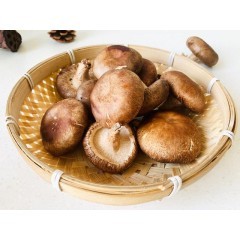 预售 香菇 500g 真菌皇后 洁净培育 新鲜蔬菜 山珍菌菇蘑菇