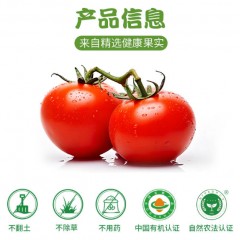 【预售】自然农法 | 有机水果番茄（B级果）4斤