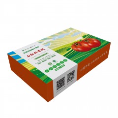 【预售】自然农法 | 有机水果番茄（B级果）4斤