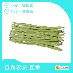 自然农法 | 豆角 5斤/份