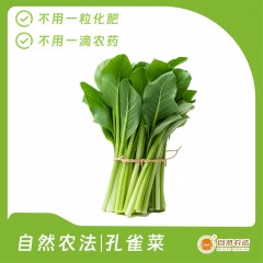 自然农法|孔雀菜 5斤/箱