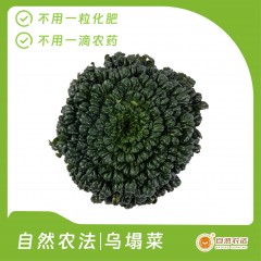 自然农法|乌塌菜 5斤/箱