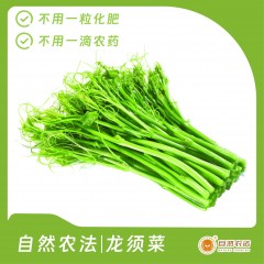 自然农法|龙须菜 5斤/箱