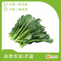 自然农法|芥蓝 5斤/箱