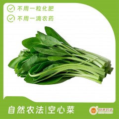 自然农法|空心菜 5斤/箱