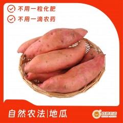 预售 | 自然农法|地瓜 10斤/箱