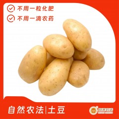 自然农法|土豆 5斤/箱