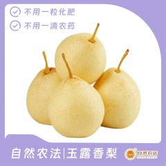 自然农法|玉露香梨 12枚/箱