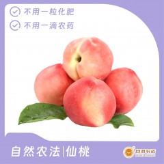 预售 | 自然农法|仙桃 6斤/箱