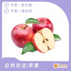 自然农法|苹果 6斤/箱