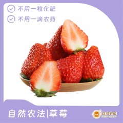 自然农法|草莓 3斤/箱