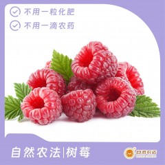 自然农法|树莓 3斤/箱