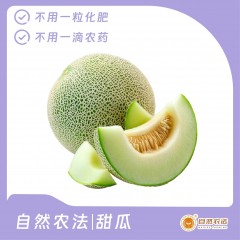 自然农法|甜瓜 10个/箱