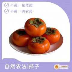 预售 | 自然农法|柿子 18枚/箱