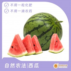 自然农法|西瓜 4个/箱