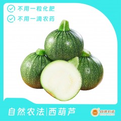 自然农法|西葫芦 5斤/箱