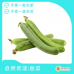 自然农法|丝瓜 5斤/箱