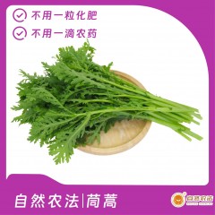 预售 | 自然农法|茼蒿 5斤/箱