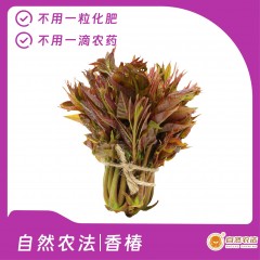 自然农法|香椿 5斤/箱