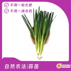 预售 | 自然农法|蒜苗 5斤/箱