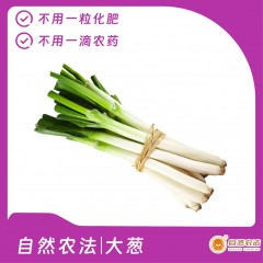 预售 | 自然农法|大葱 5斤/箱