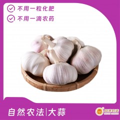 预售 | 自然农法|大蒜 2斤/箱