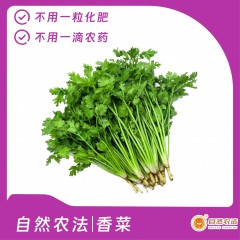 自然农法|香菜 5斤/箱