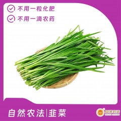 自然农法|韭菜 5斤/箱