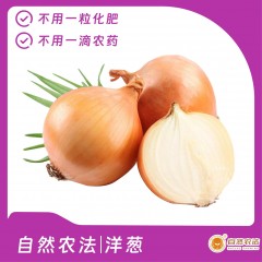 自然农法|洋葱 5斤/箱
