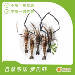 自然农法|罗氏虾 3斤/箱