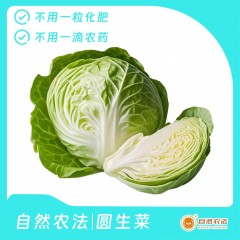 自然农法 | 圆生菜 5棵/箱