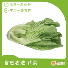 自然农法|芥菜 5斤/箱